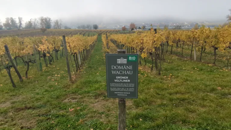 Wachau Wonders & Magical Hallstatt Semi-Private Day Trip from Vienna
